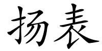 扬表的解释