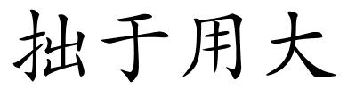 拙于用大的解释