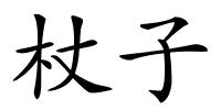 杖子的解释