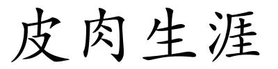 皮肉生涯的解释