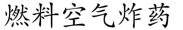 燃料空气炸药的解释