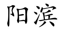 阳滨的解释