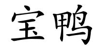 宝鸭的解释