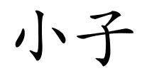 小子的解释