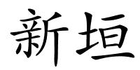 新垣的解释