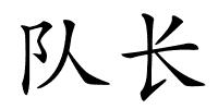 队长的解释