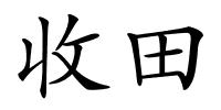 收田的解释