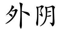 外阴的解释