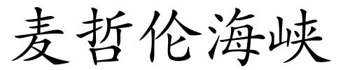 麦哲伦海峡的解释