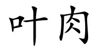 叶肉的解释