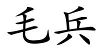 毛兵的解释