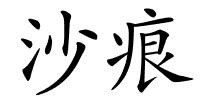 沙痕的解释