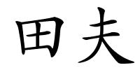 田夫的解释