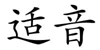 适音的解释