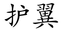 护翼的解释