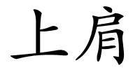 上肩的解释