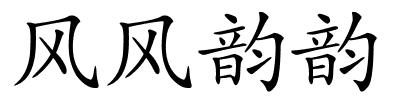 风风韵韵的解释