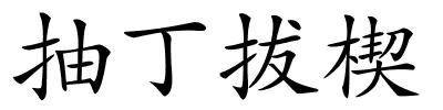 抽丁拔楔的解释