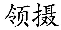 领摄的解释