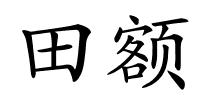 田额的解释