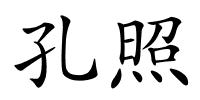 孔照的解释