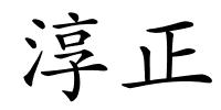 淳正的解释