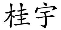 桂宇的解释