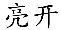 亮开的解释