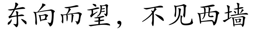 东向而望，不见西墙的解释