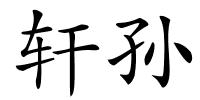 轩孙的解释