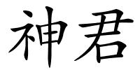 神君的解释