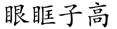 眼眶子高的解释