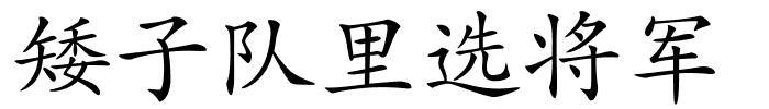 矮子队里选将军的解释