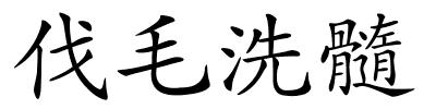 伐毛洗髓的解释