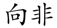 向非的解释