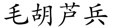 毛胡芦兵的解释