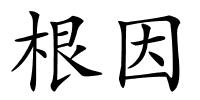 根因的解释