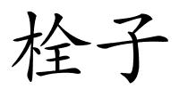 栓子的解释