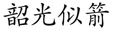 韶光似箭的解释