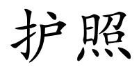 护照的解释