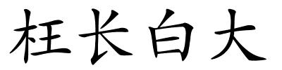 枉长白大的解释