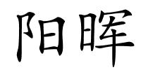 阳晖的解释