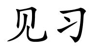 见习的解释