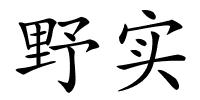 野实的解释