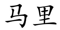 马里的解释