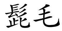 髭毛的解释