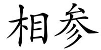 相参的解释