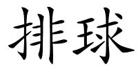 排球的解释