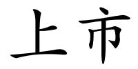 上市的解释