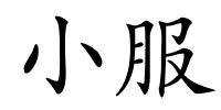 小服的解释